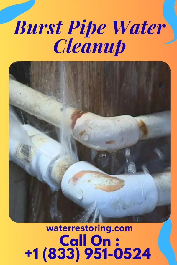Burst Pipe Water Cleanup in River Bend, MO