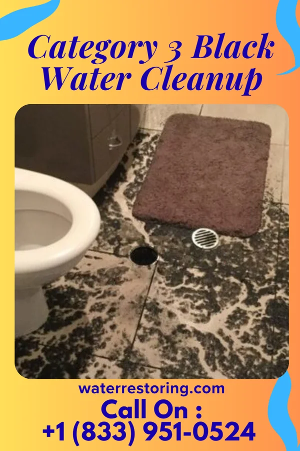 Category 3 Black Water Cleanup in River Bend, MO