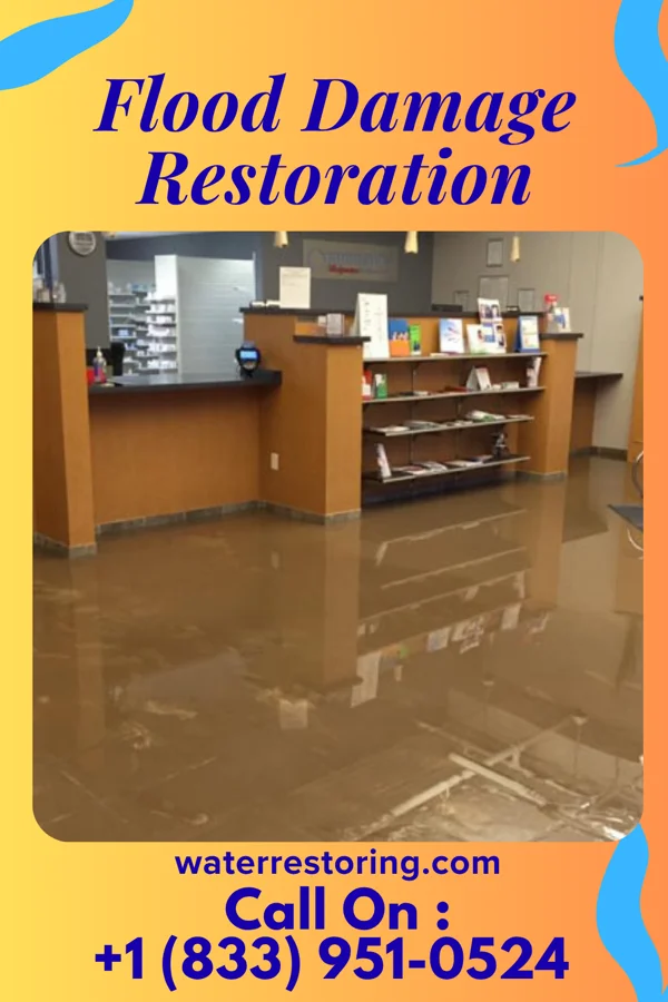 Flood Damage Restoration in River Bend, MO