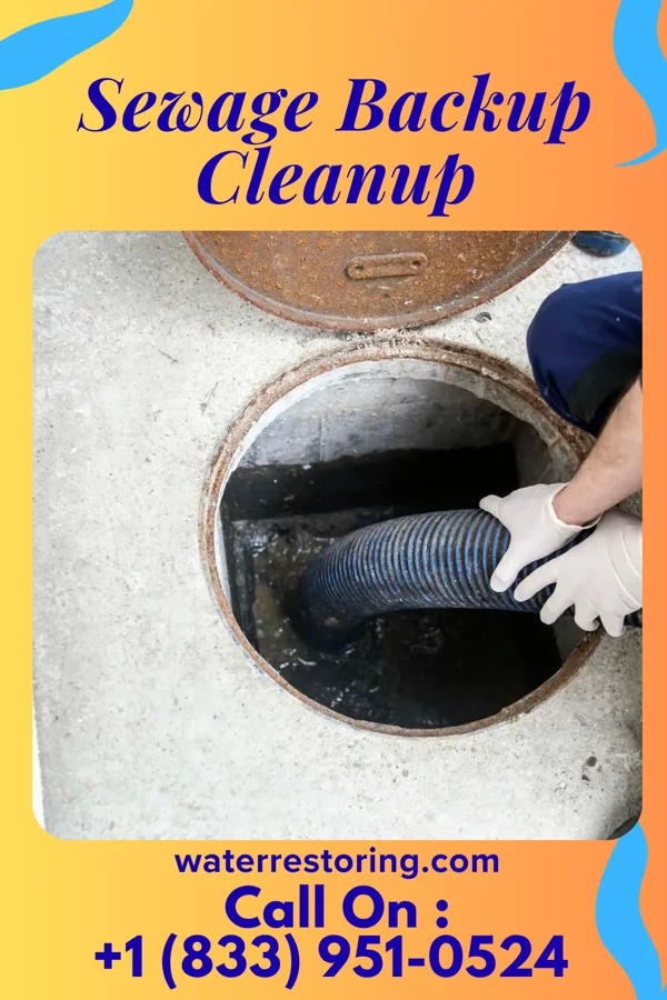 Sewage Backup Cleanup in River Bend, MO