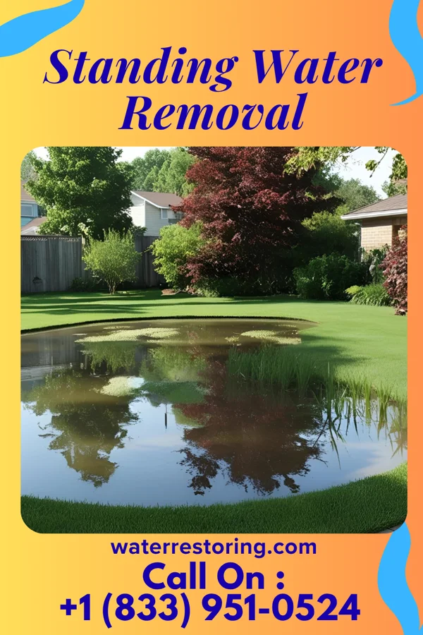 Standing Water Removal in River Bend, MO